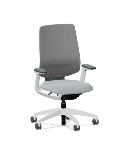 Bürostuhl_se_flex_Farbe_grau_Gestellfarbe_grau_titelbild