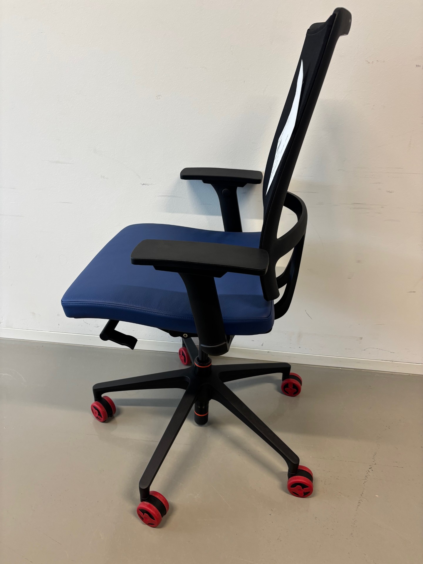 open mind blau – Bild 3